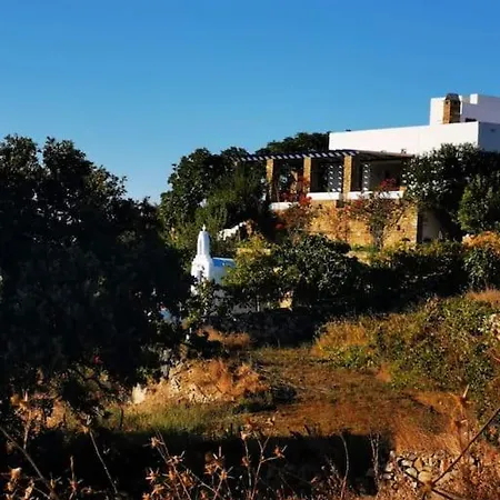 Vakantiehuis Mary S Traditional Cycladic House Skaládhos